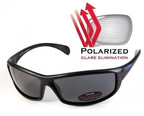 Окуляри поляризаційні BluWater Florida-4 Polarized (gray) чорні 1 купити оптом