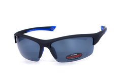 Очки поляризационные BluWater Daytona-1 Polarized (gray) серые в черно-синей оправе 1 купить оптом