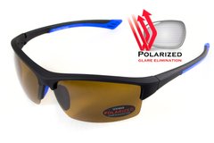 Очки поляризационные BluWater Daytona-1 Polarized (brown) коричневые в черно-синей 1 купить оптом