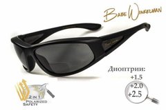 Бифокальные поляризационные защитные очки 3в1 BluWater Winkelman-2 (+2.0) Polarize (gray) серые 1 купить оптом