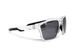 Окуляри BluWater Sandbar Polarized (G-Tech™ silver), дзеркальні сірі