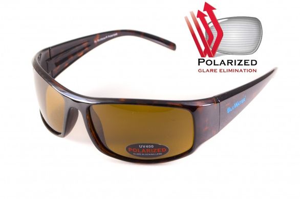 Окуляри поляризаційні Florida-1 Polarized (brown) коричневі 1 купити оптом